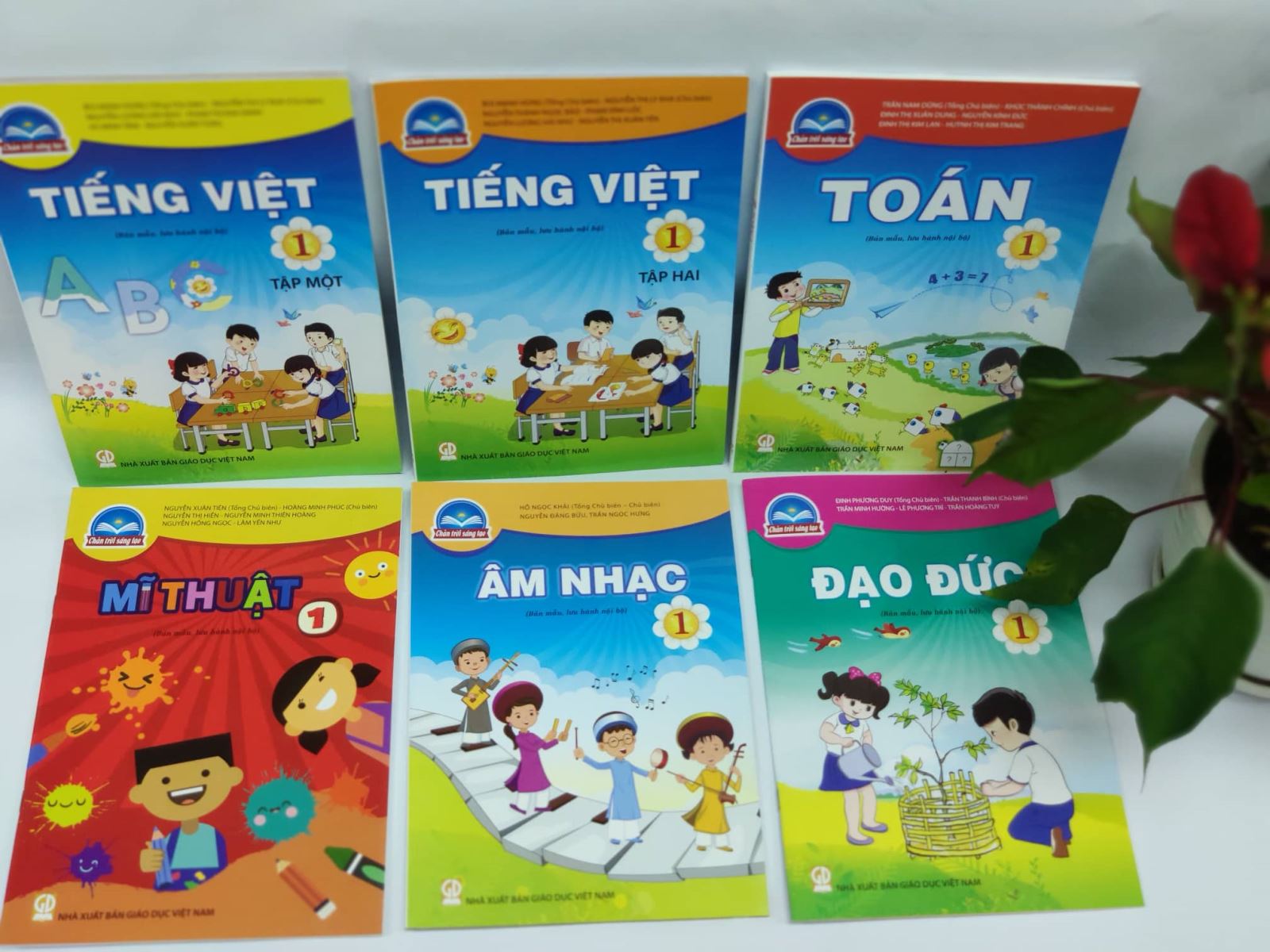 Giới Thiệu Bộ Sgk Chân Trời Sáng Tạo